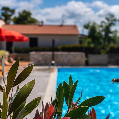 Agriturismo Il Tripesce วาดา ภายนอก รูปภาพ