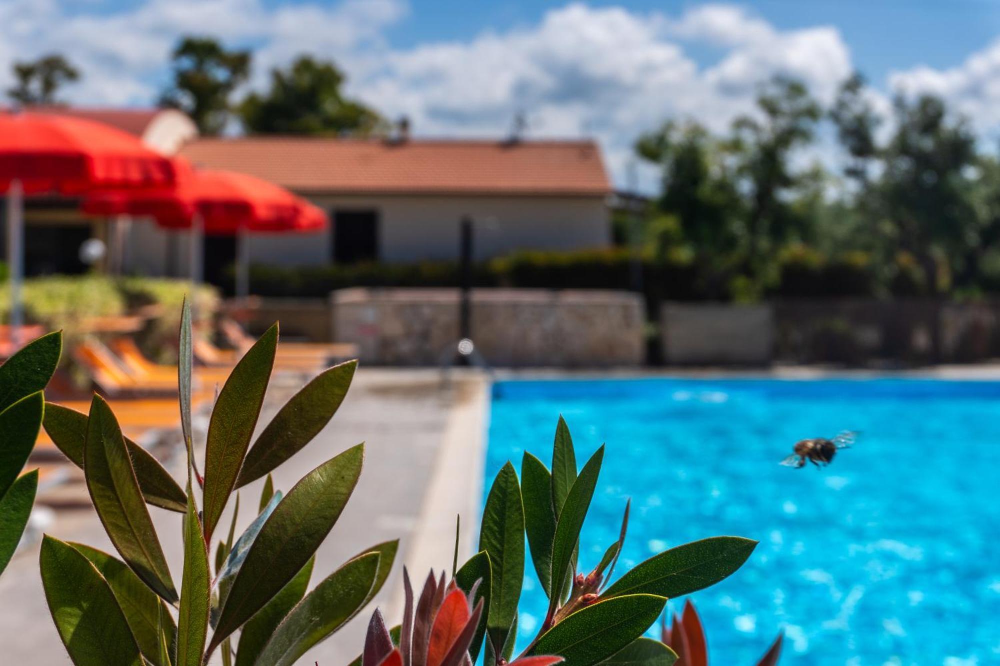 Agriturismo Il Tripesce วาดา ภายนอก รูปภาพ