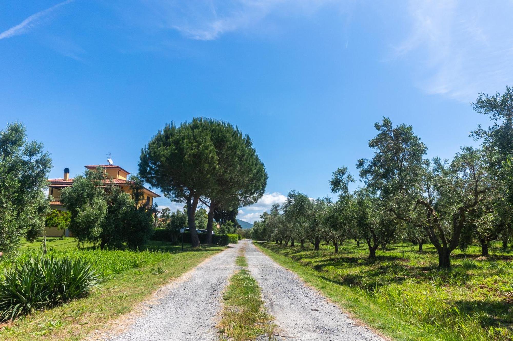 Agriturismo Il Tripesce วาดา ภายนอก รูปภาพ