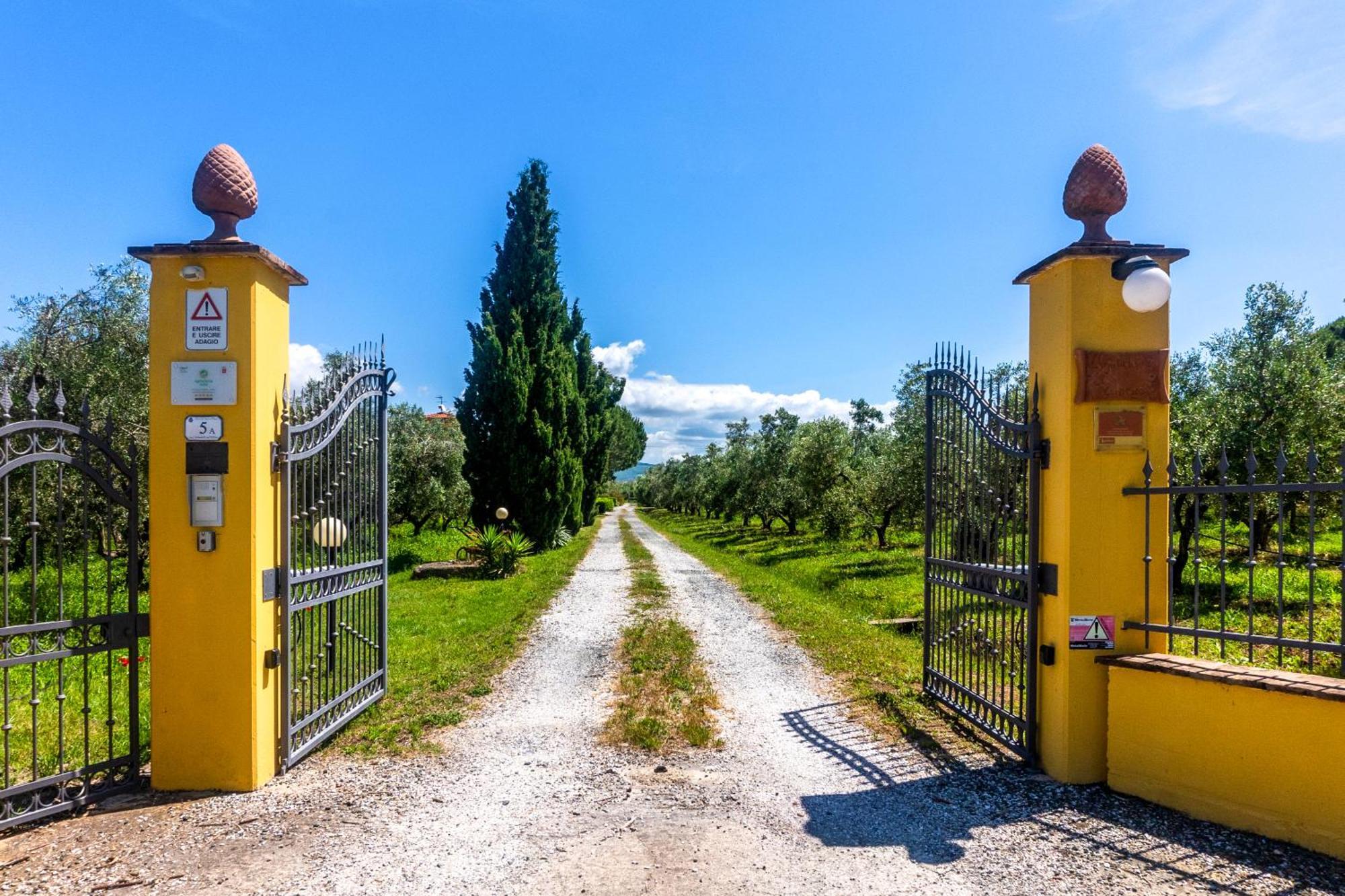 Agriturismo Il Tripesce วาดา ภายนอก รูปภาพ