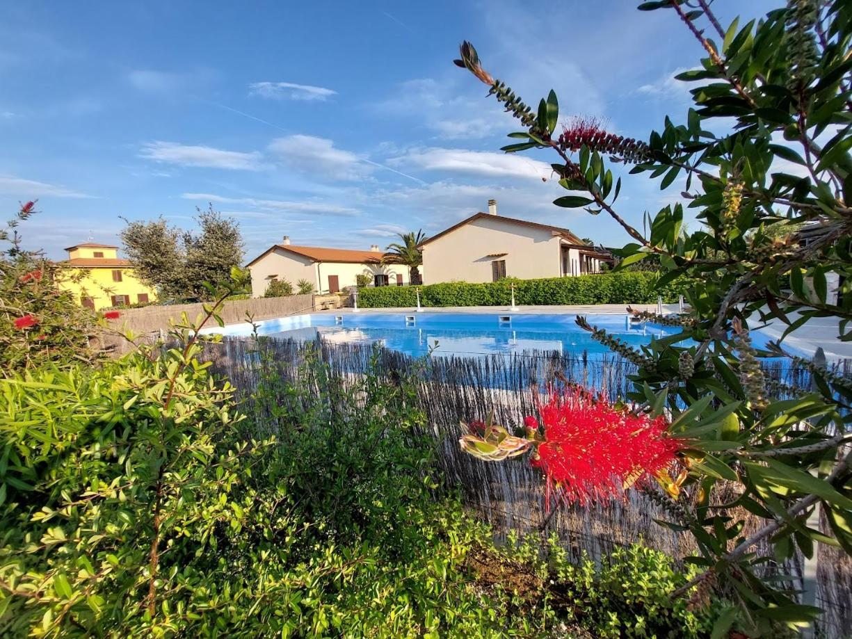 Agriturismo Il Tripesce วาดา ภายนอก รูปภาพ
