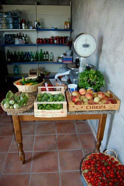 Agriturismo Il Tripesce วาดา ภายนอก รูปภาพ