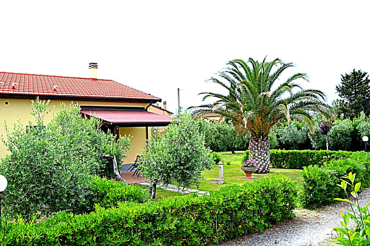 Agriturismo Il Tripesce วาดา ภายนอก รูปภาพ