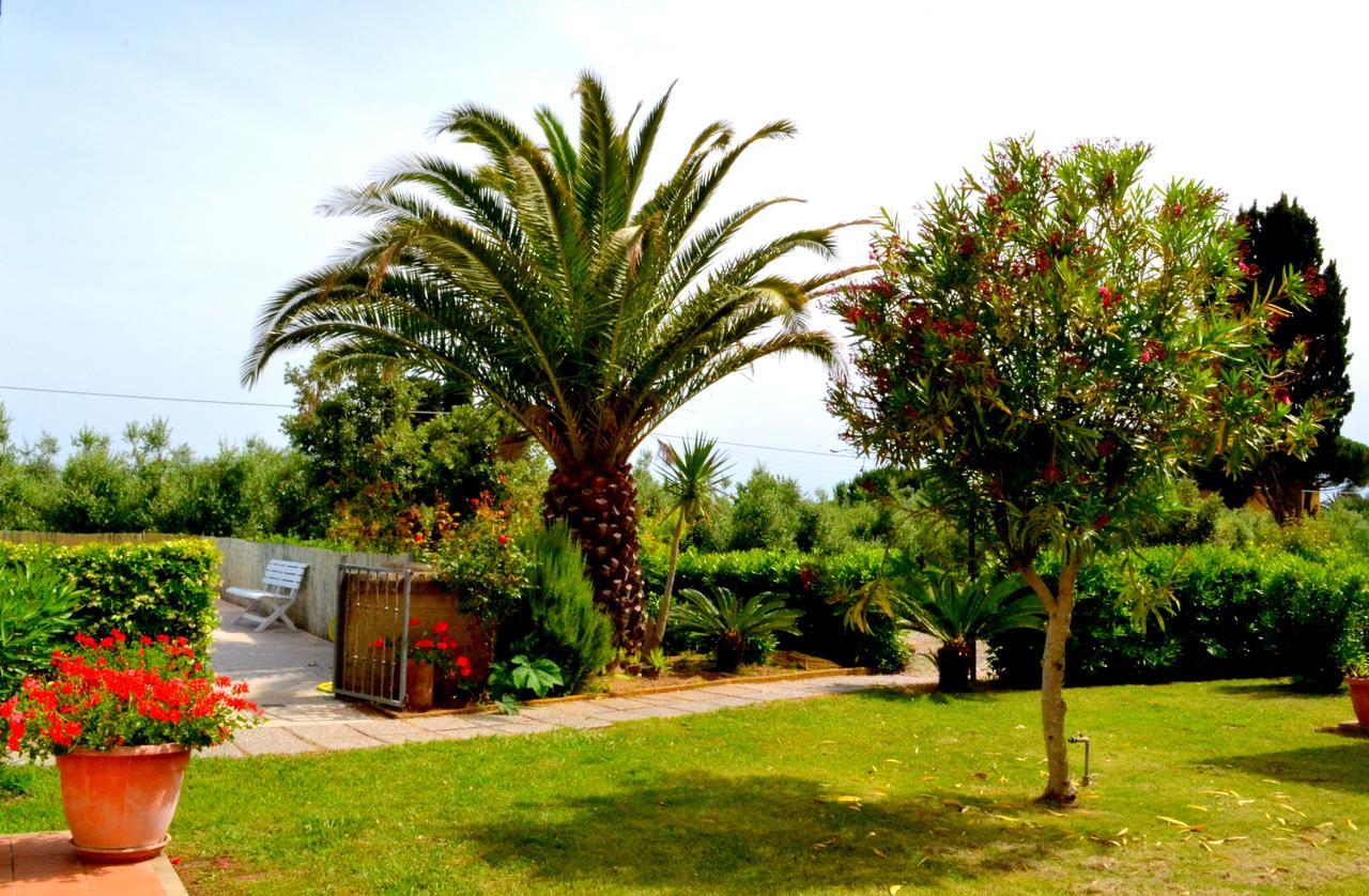 Agriturismo Il Tripesce วาดา ภายนอก รูปภาพ